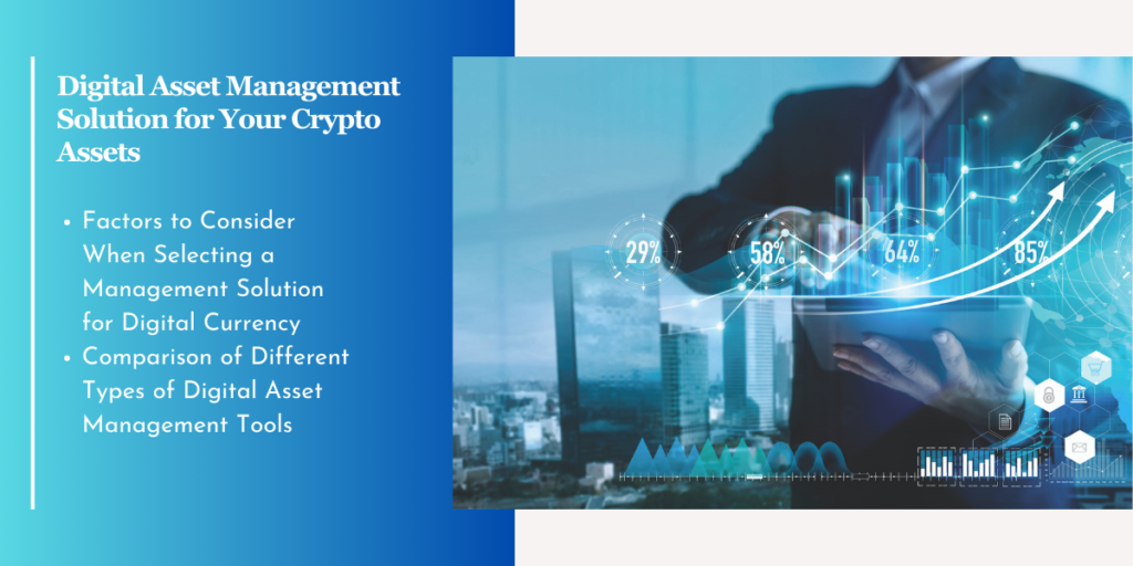 Solution de Gestion d'Actifs Crypto